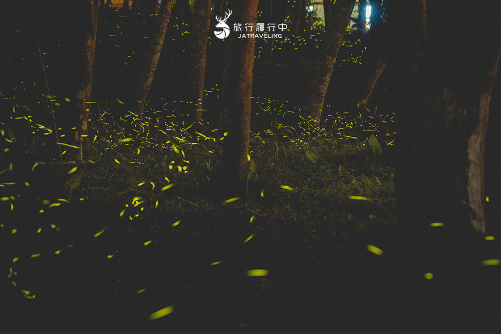 南投鹿谷三生緣區(賞螢景點)