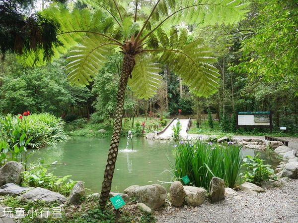 嘉義樹木園