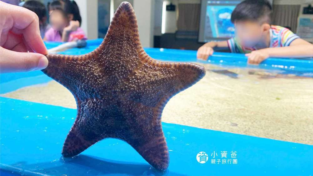 澎湖縣水產種苗繁殖場