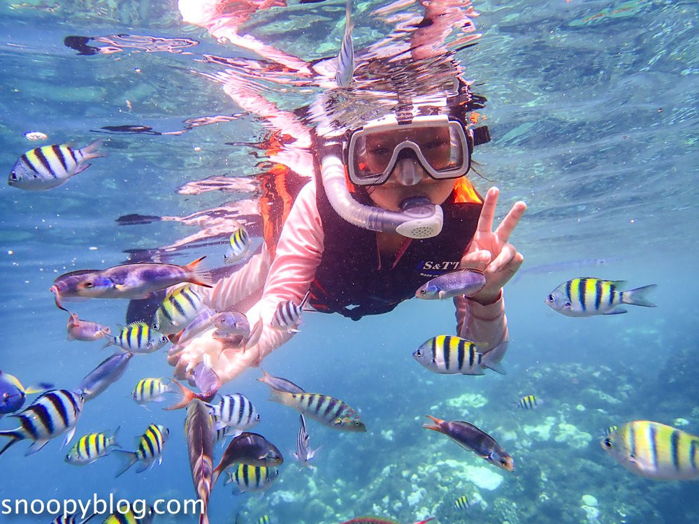 水到魚行浮潛館