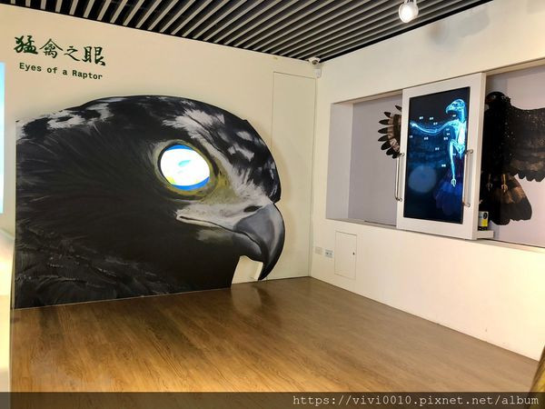猛禽展示館@觀音山遊客中心