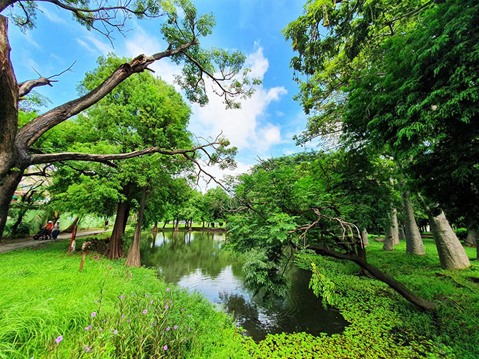 巴克禮紀念公園