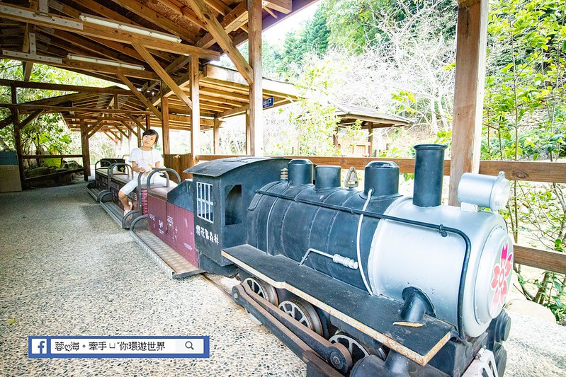 櫻花鳥森林(櫻花林休閒農場)