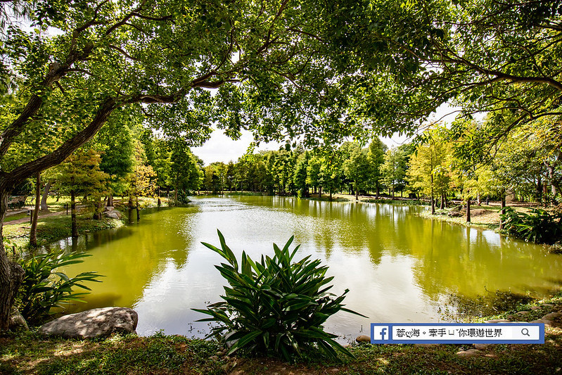 松湖畔咖啡館(松湖休閒親子莊園)(暫停營業)