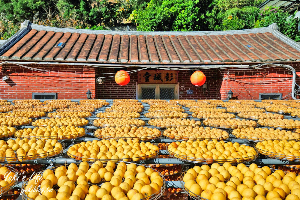 金漢柿餅教育農園