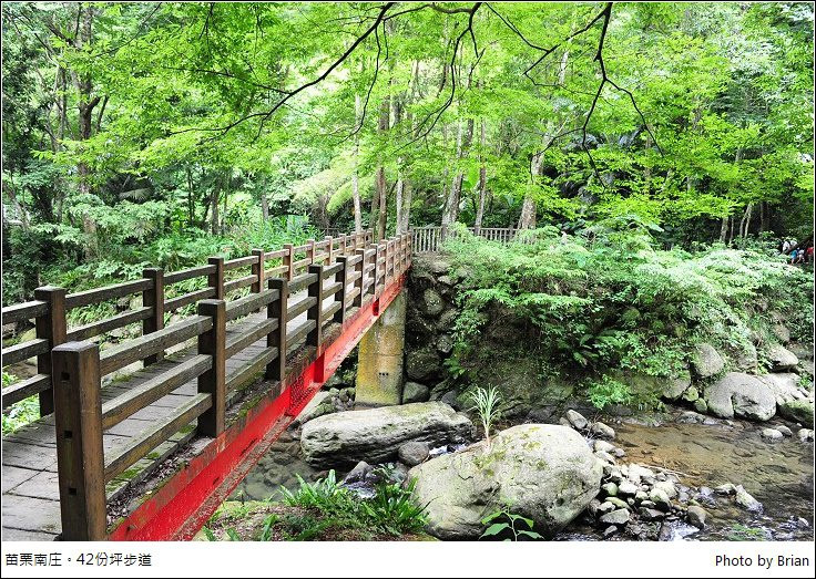 四十二份坪步道(四十二份湧泉自然生態步道)