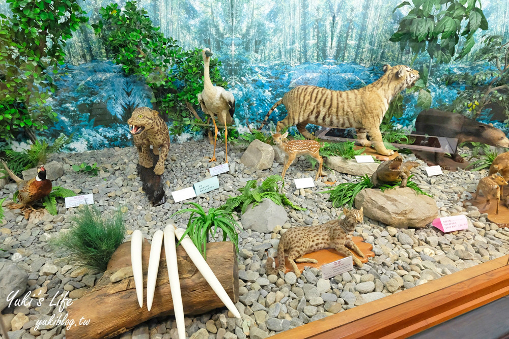 農業部生物多樣性研究所(特有生物研究保育中心)