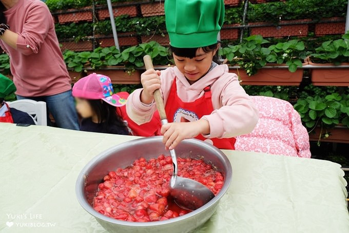 內湖草莓園(內湖休閒農園)(小小草莓達人)