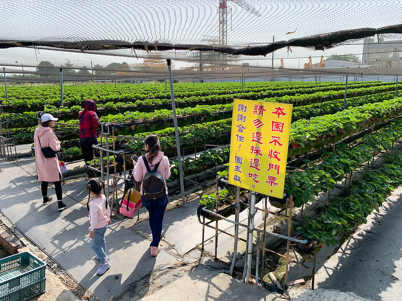 美裕草莓園