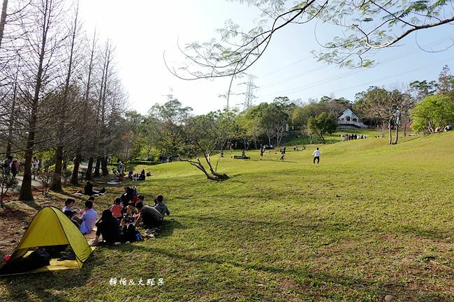 小森之歌(原心鮮森林)
