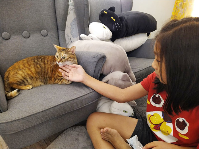 O CAT CAFÉ
