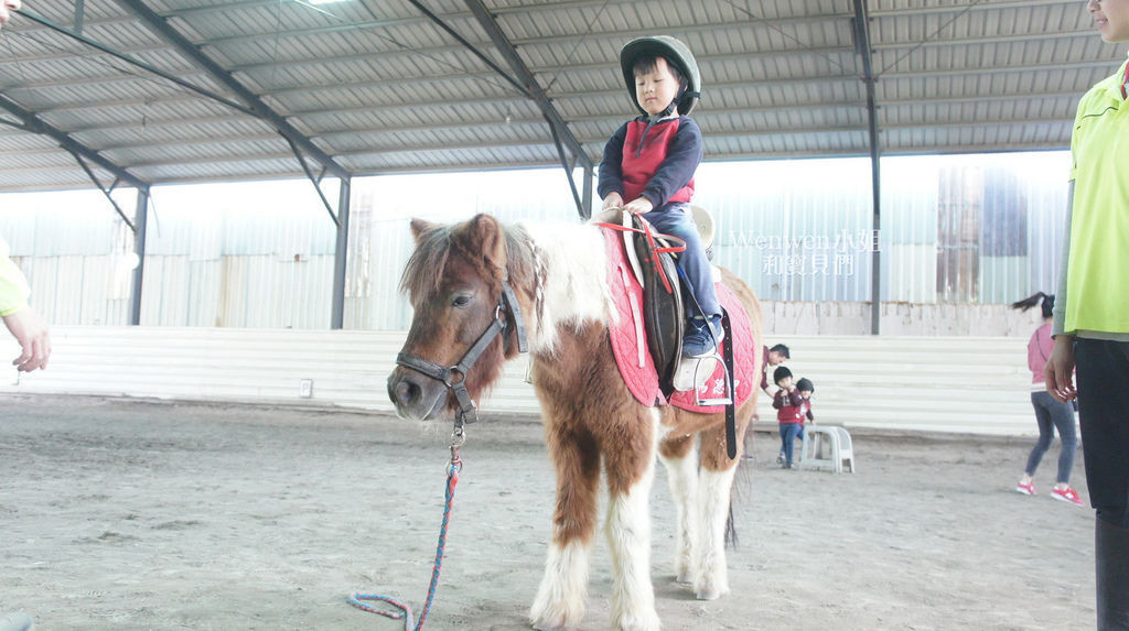 馬德里休閒驛站馬術體驗營