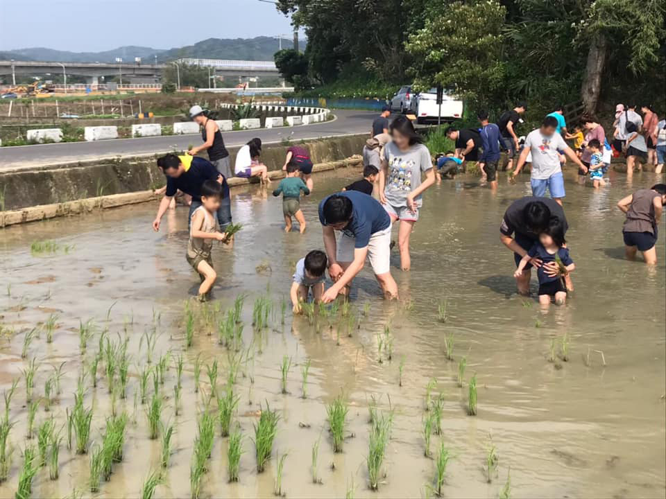 双源魚菜共生農場