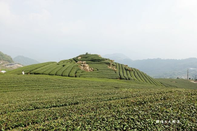 二延平步道(二延平山步道)