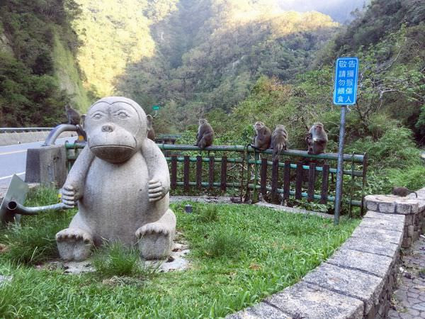 台東泰源幽谷(泰源花果山)