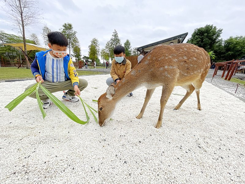 斑比山丘 Bambi Land