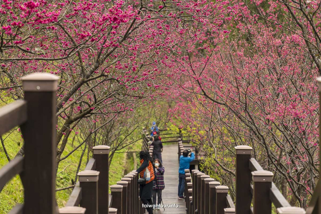長庚養生文化村