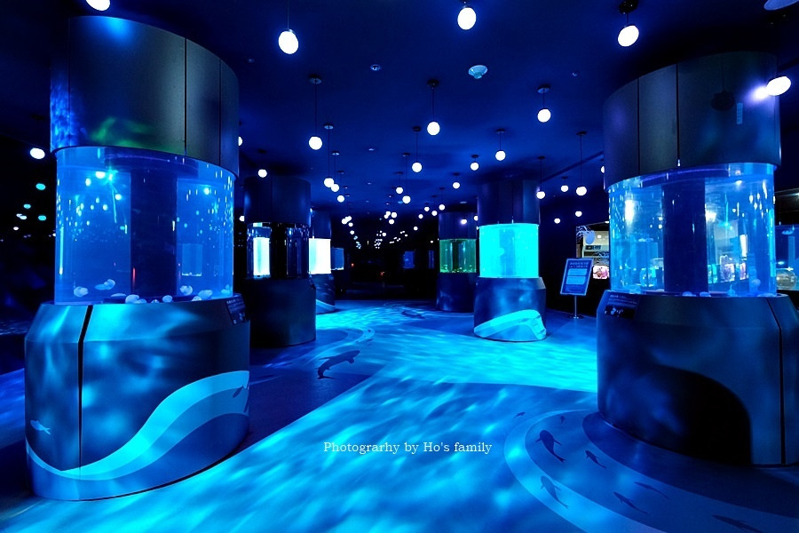 潮境智能海洋館i ocean@基隆海科館