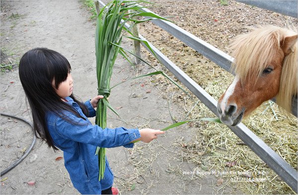 吉蒸牧場