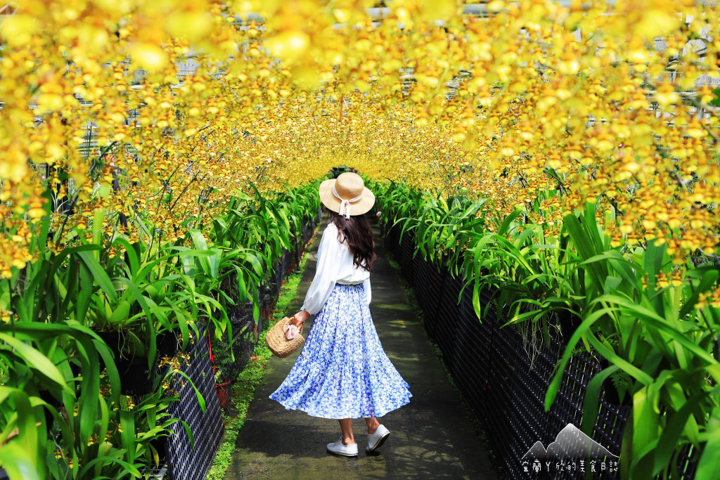 金雙甡花卉農場