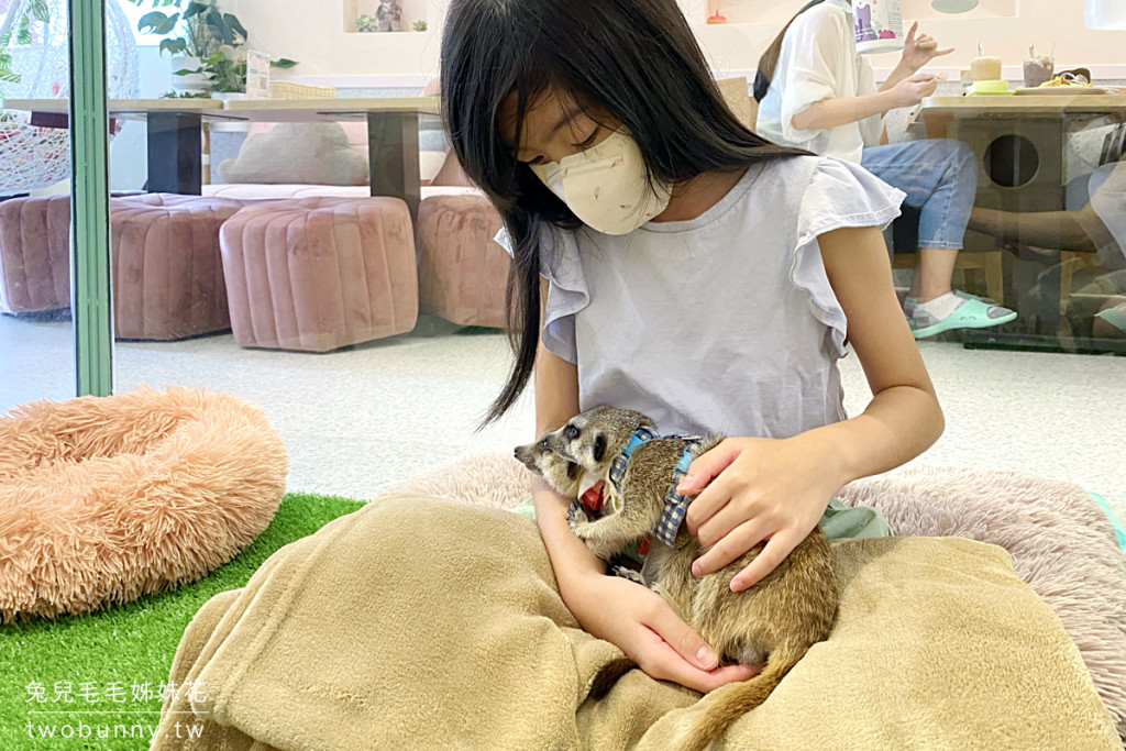 Meerkat75 Café – 75度獴主題餐廳