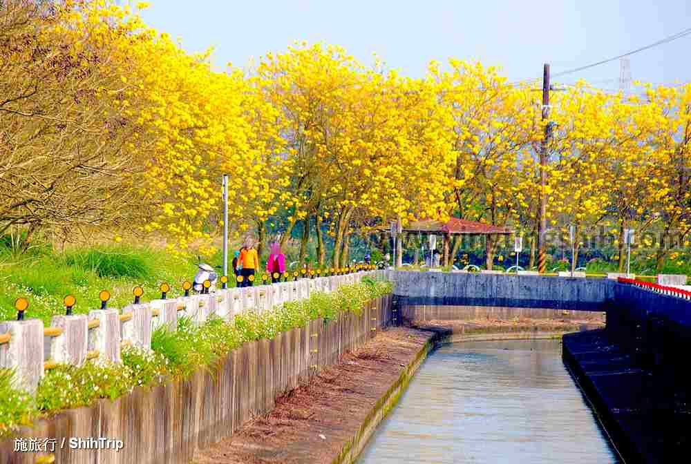石門大圳綠色廊道