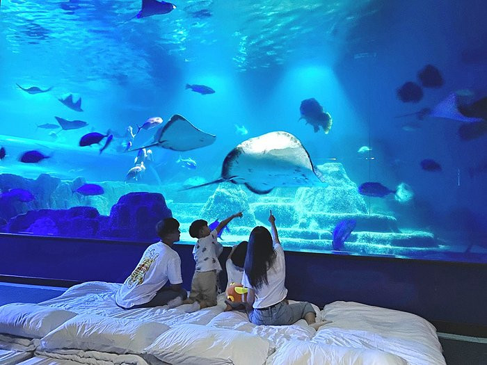 親親海洋夜未眠(夜宿遠雄海洋公園水族館)@花蓮遠雄海洋公園