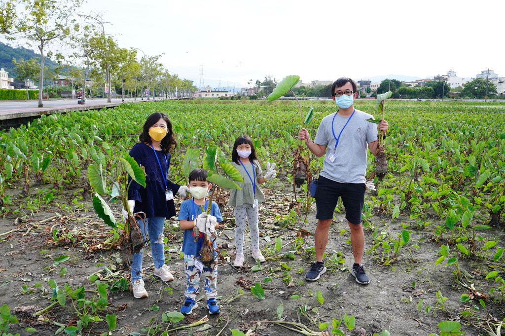 MaKuoTaro 馬郭芋頭園