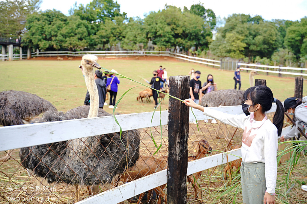 台東原生應用植物園