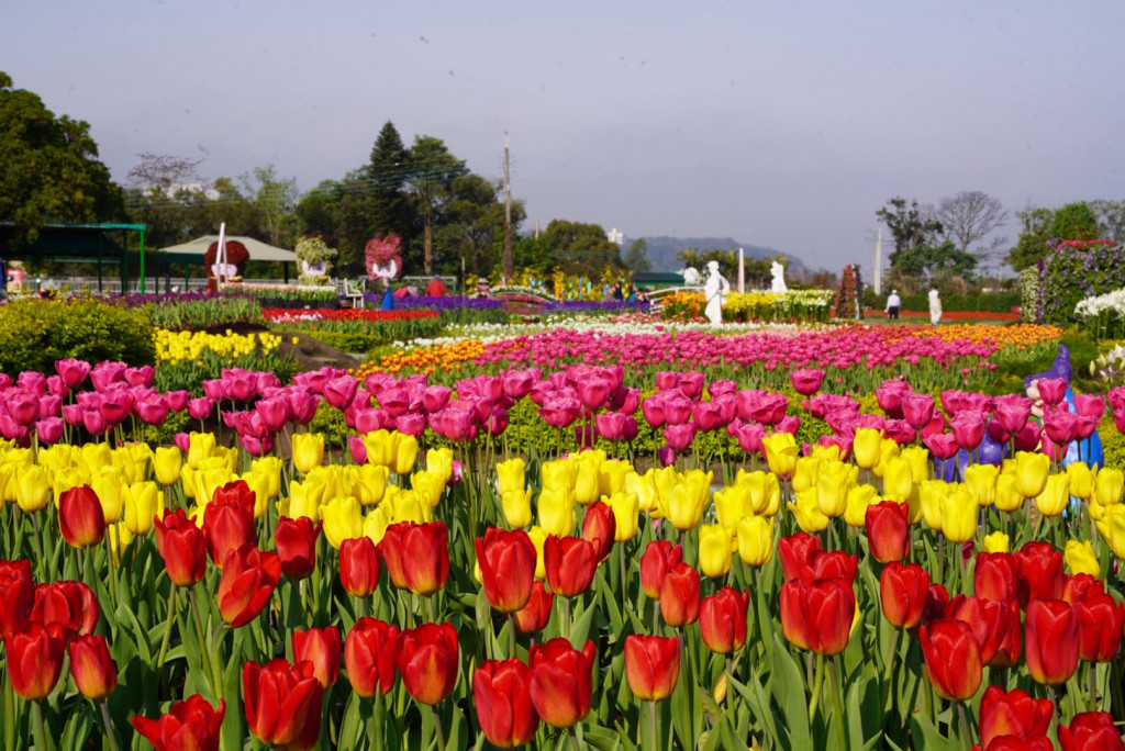 中社觀光花市 (中社花市)