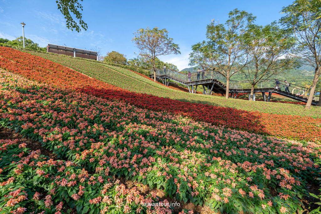 北投社三層崎公園花海