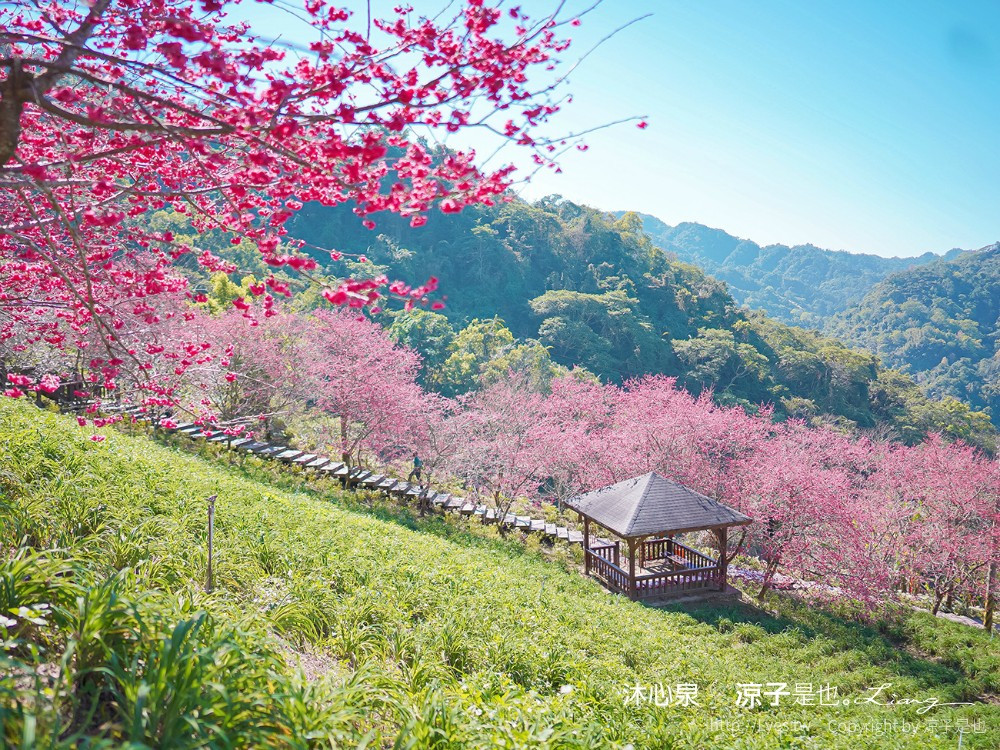 沐心泉休閒農場