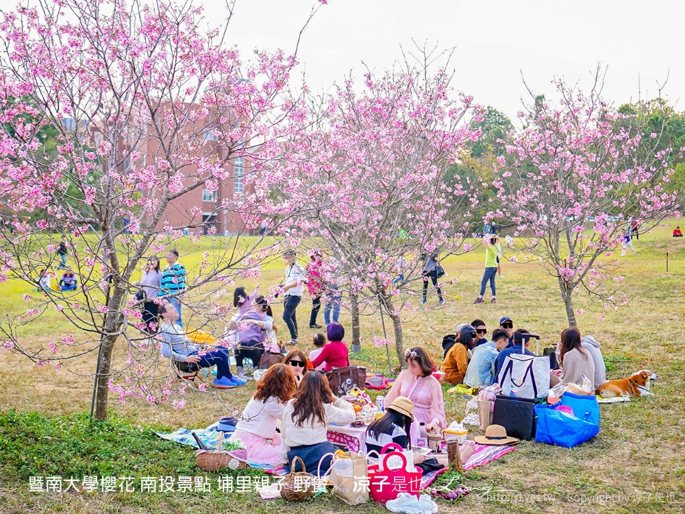 國立暨南國際大學