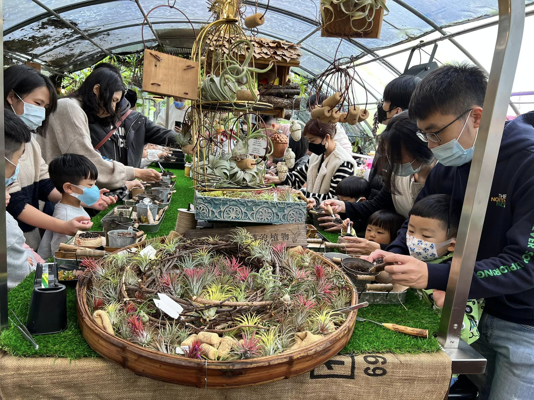 木渠多肉花果農場(木渠多肉樂活農場)