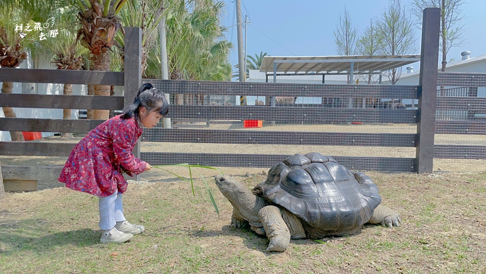 廢物媽媽育兒農場