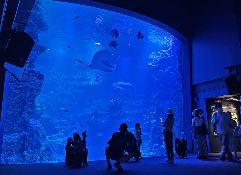 日本-京都-京都水族館@梅小路公園