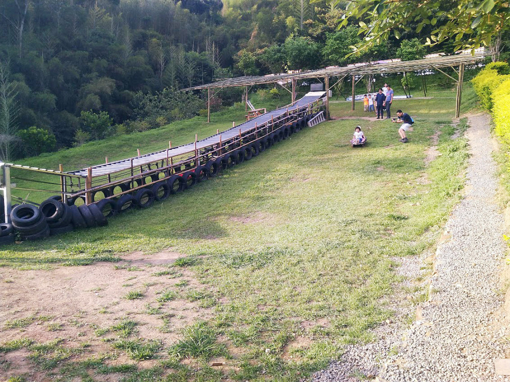 山大王休閒農莊(高低空探索)(槍戰)