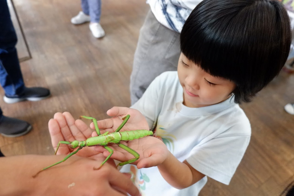 蝴蝶小鎮生態休閒園區-木生昆蟲博物館