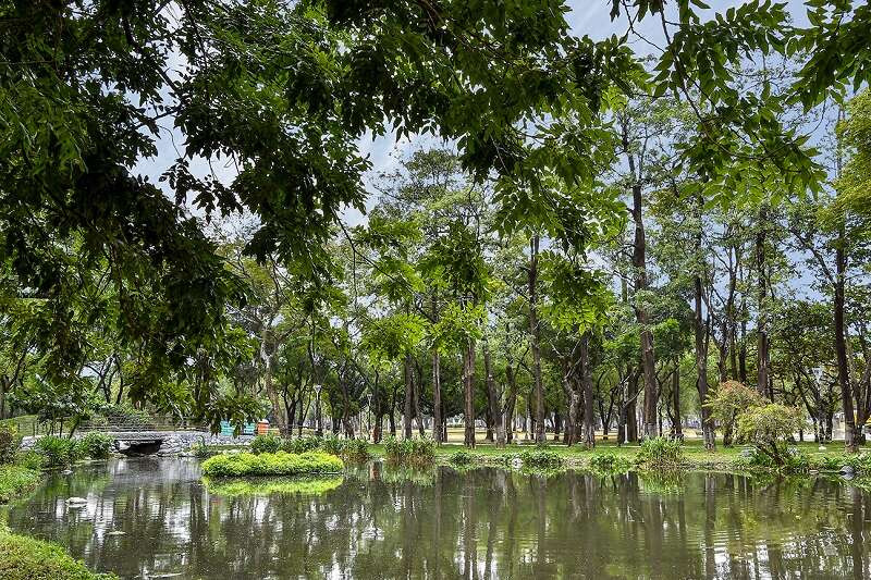大東濕地公園 (原中正公園)