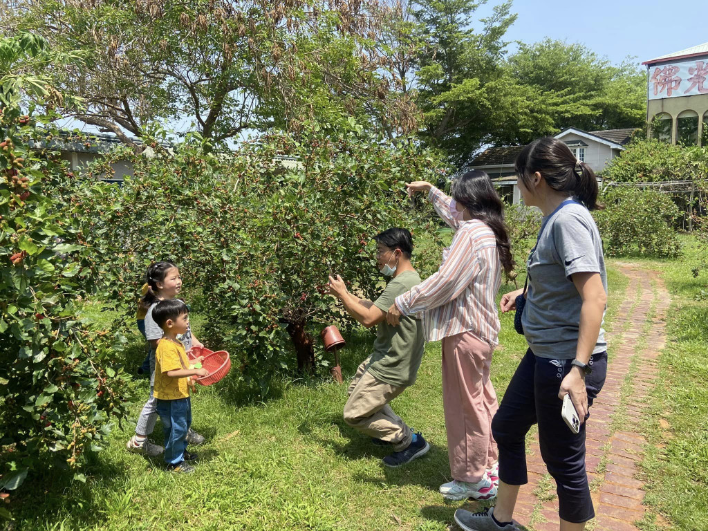 大樹張媽媽桑椹休閒農場