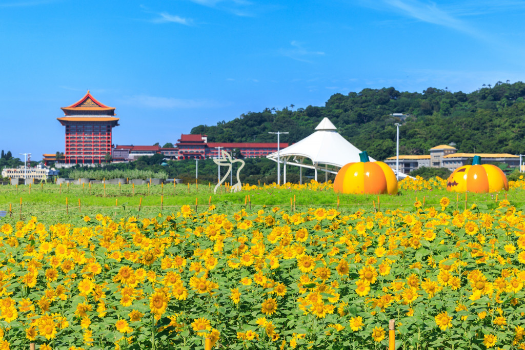 大佳河濱公園-海洋遊戲場(特色遊戲場)