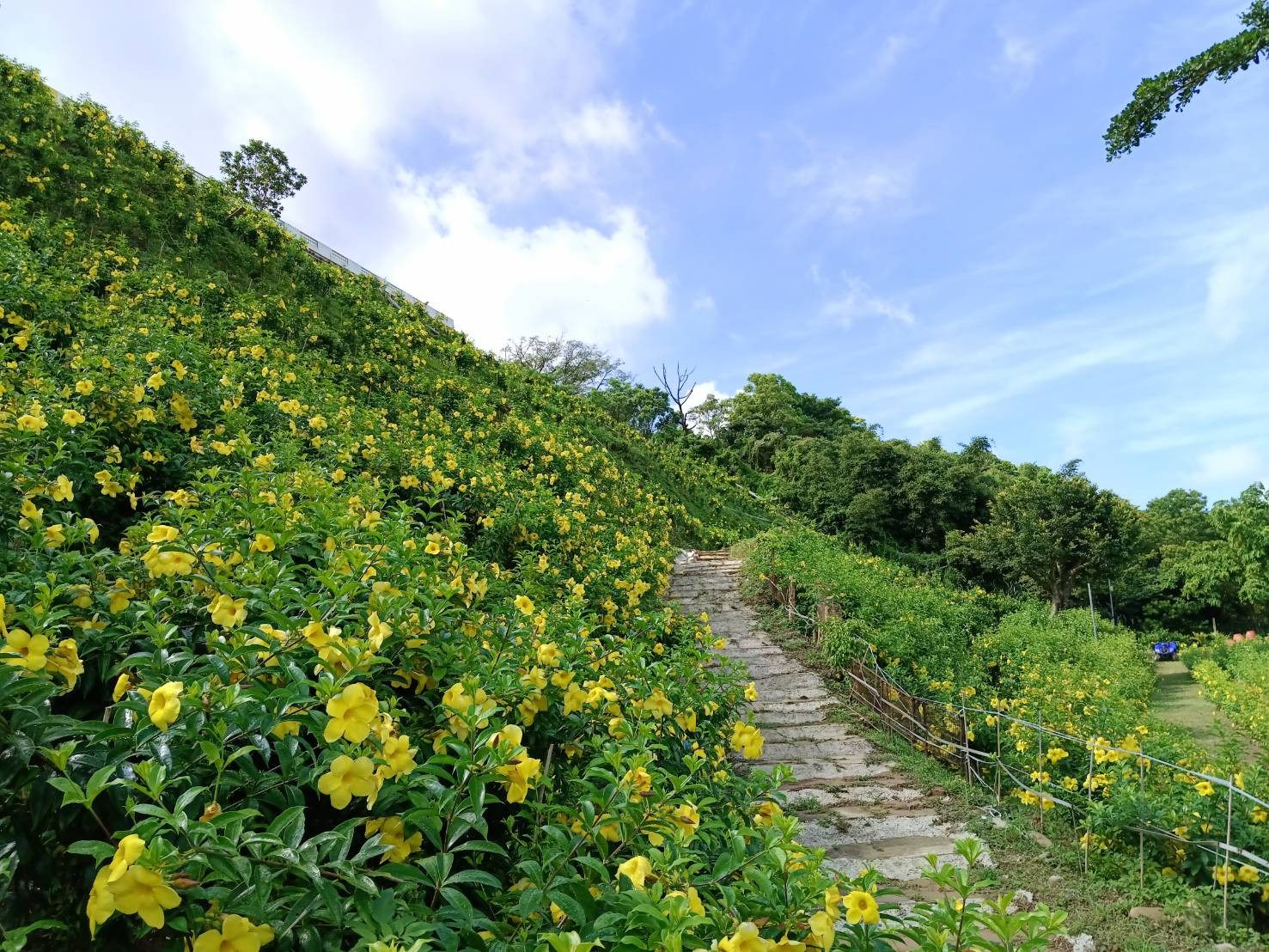 酷酷馬休閒農場