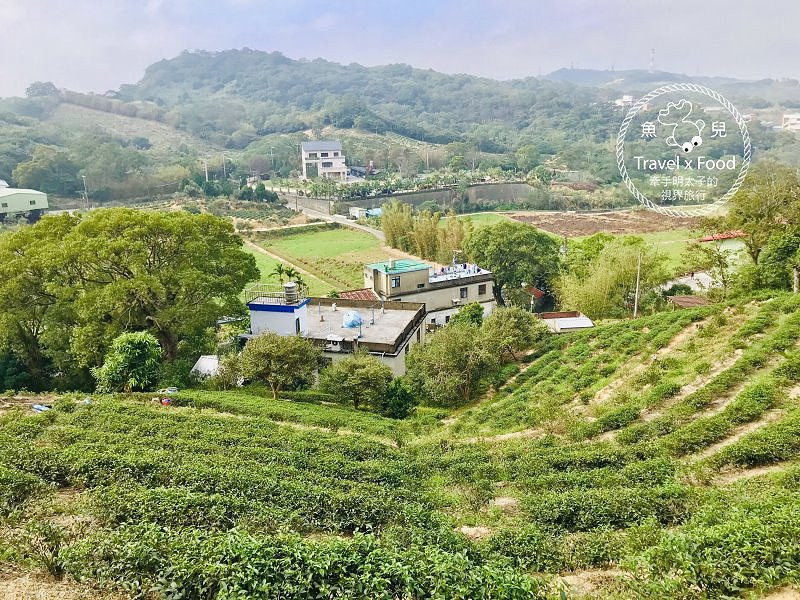秀才登山步道(秀才步道)