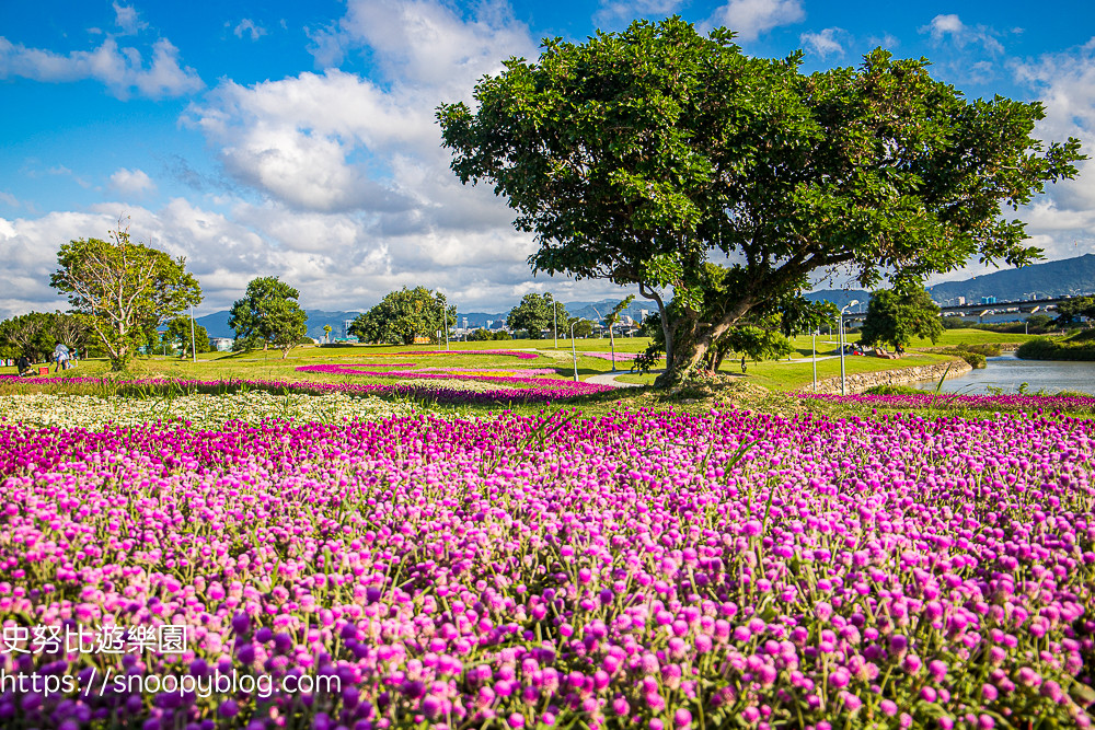 美堤河濱公園-美堤河濱公園兒童遊戲場(自然親水灣+特色遊戲場)