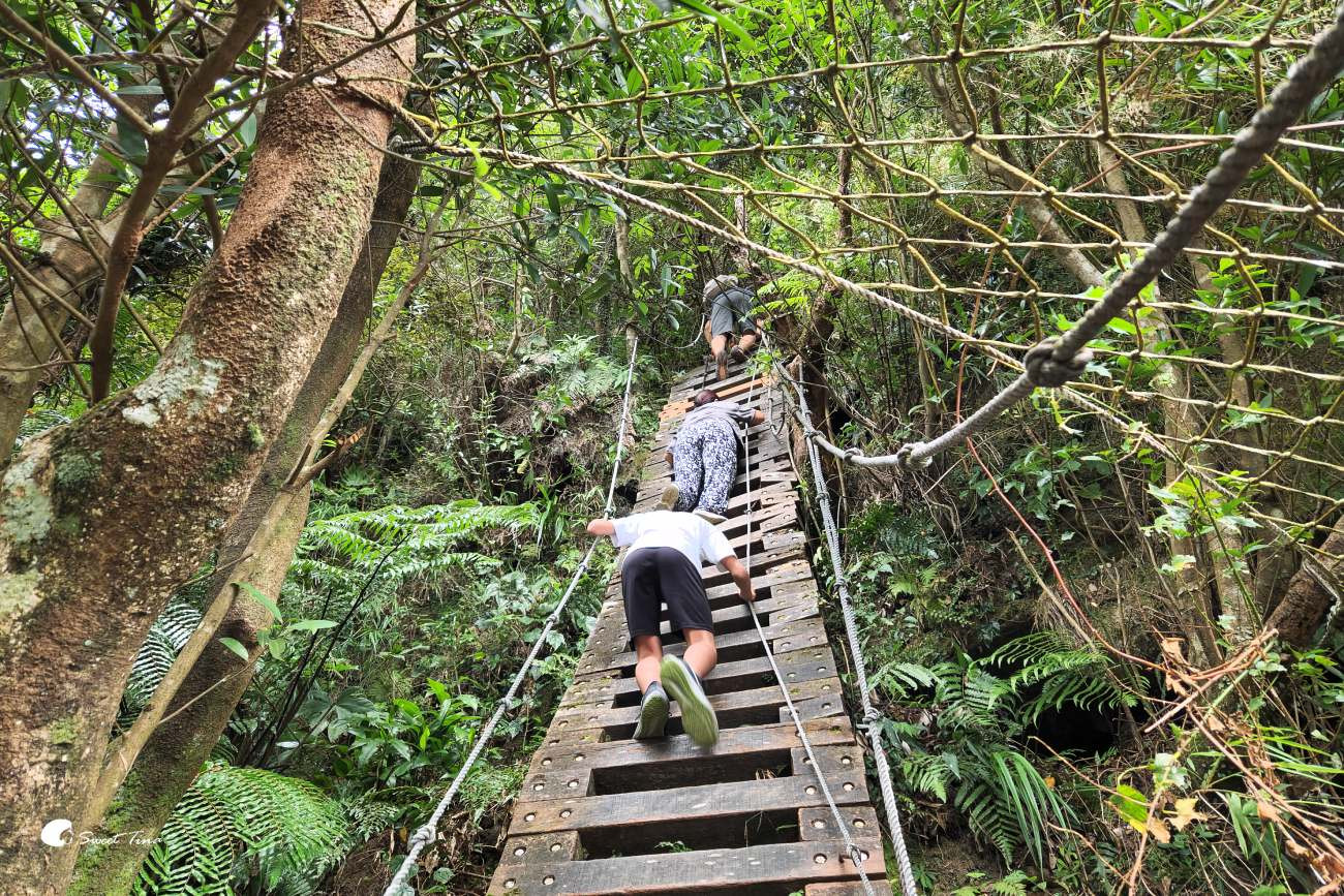 新店獅仔頭山-獅頭山登山步道-台灣小百岳(獅仔頭山隘勇線)