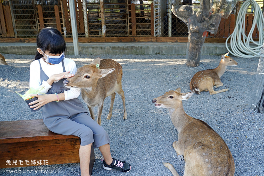 鹿境 Paradise Of Deer(鹿境梅花鹿生態園區)
