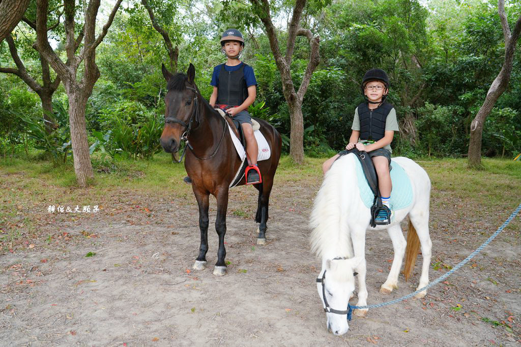 尼普頓馬術創藝園區