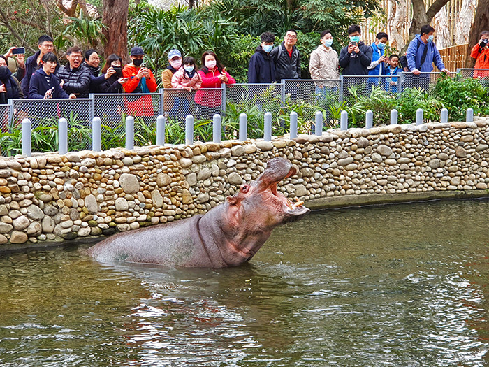 新竹市立動物園(新竹動物園)
