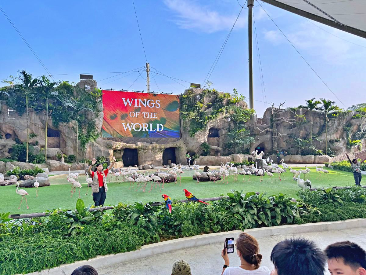 新加坡-Bird Paradise新加坡飛禽公園