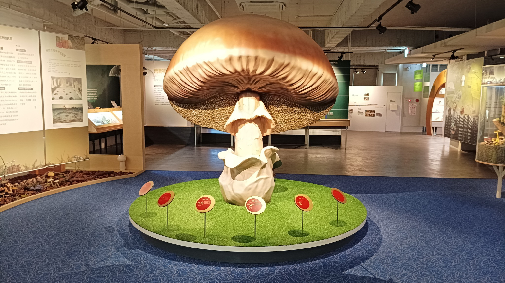 霧峰菇類產學館